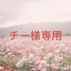 DAZY フリルトリム ラグランスリーブ シャツ
