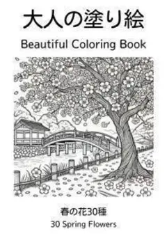 30枚セット　大人の塗り絵　花　春の花　リラクゼーション　リラックス