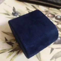 LOUIS VUITTON 時計ケース 美品