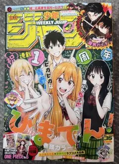 週刊少年ジャンプ 2025年35号 ONE PIECE付録付　匿名配送　ひまてん