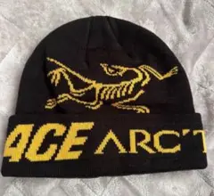 パレス　アークテリクス　ビーニー Arc'teryx × palace ビーニー