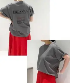 美品✨plage スウェットシャツ 半袖 カットソー グレー Free J.J.Mercer / ジェイジェイマーサー】 別注 V/N スウェット G（T