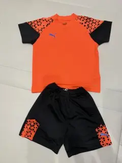 Item thumbnail for item 65e9c93c-c4a8-470e-b21a-88512833cc0e