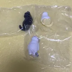 虚無。猫 参