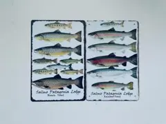 ブリキ看板 魚 釣り 釣具 フィッシング 2枚 セット 魚拓 バス P-376