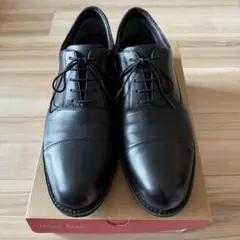 【texcy luxe】ビジネスシューズ　革靴　27.0cm GORE-TEX