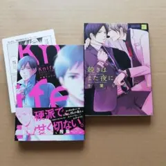 コミック　2冊セット　商業BL本