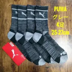Item thumbnail for item ce26f03e-ddeb-4dba-a8cb-ce5f968997a8