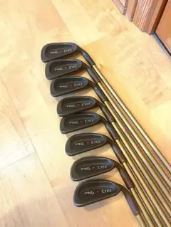 PING EYE2 プラス カッパー アイアン ピン アルディラボロンモデル