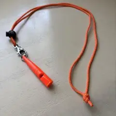 Item thumbnail for item 18893399-0ffd-4404-8344-e32f1bf9c542