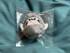 ハイキュー！　くるみたぴぬい