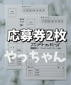 【応募ハガキ2枚】アップトゥボーイ2025年10月号