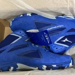 【未使用】ウェーブダイバーず　ミズノ　トレーニングシューズ　フィットネス