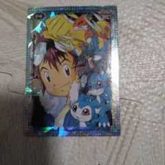 デジモンアドベンチャー02 本宮大輔　カード
