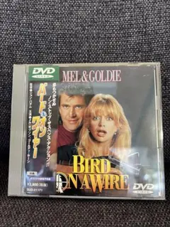 希少廃盤　映画バード・オン・ワイヤー 日本版DVD 帯付　ゴールディ・ホーン