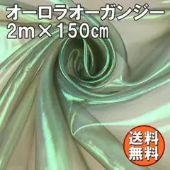 送料無料 オーロラ オーガンジー 生地 2ｍ ダークグリーン 手芸 布 Q62
