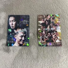 RIZINポテトスティックポスターカード2枚セット