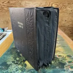 Item thumbnail for item b8479240-d3a0-41f1-933b-67a39392bcb8