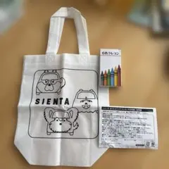 シエンタ　ぬりエコバッグ