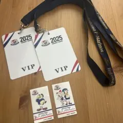 横浜Fマリノス ネックストラップ VIP