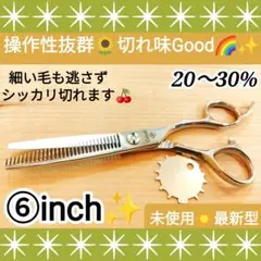 Item thumbnail for item d3b6c284-8a84-4b76-88c7-ca0353e7e1af