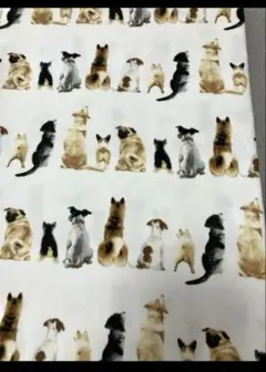 生地　犬柄　オックス　オフホワイト