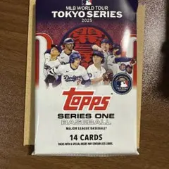 100枚まとめ売り