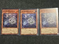 遊戯王　白き森のリゼット スーパー 3枚