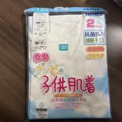 GUNZE 半袖シャツ 女児 120