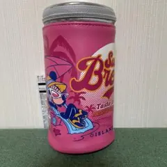 ディズニー　サンシャインブリーズ ポーチセット