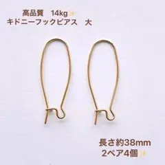 Item thumbnail for item 23e5c9cc-3974-48ec-aae4-dc4d087b2316