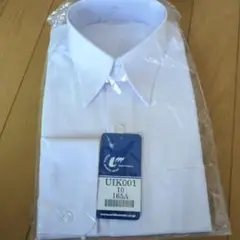 Item thumbnail for item 6ae6e4bd-07c2-43e5-a2be-61ab50fce6f8