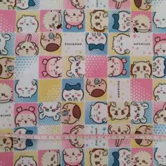 ちいかわ(10)