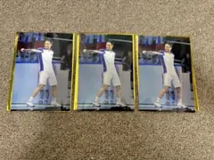 ミュージカルテニスの王子様ステージブロマイド　青学大石秀一郎　藤本力翔　バラ可