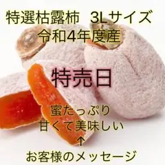 干柿箱込み500g