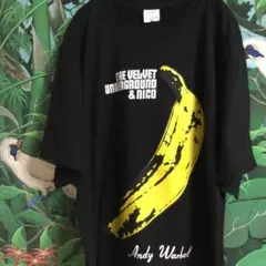 00s The Velvet Underground & Nico/XL バンt