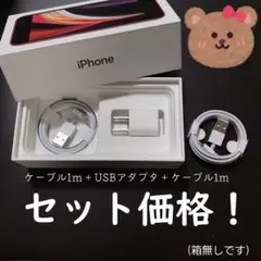 iPhone ライトニングケーブル 充電器 USB コンセント 電源