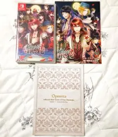 越えざるは紅い花　Nintendo Switch　新品未開封　特典小冊子付き