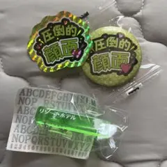 ガチャガチャ 緑セット 推し事 缶バッジ ステッカー ホテルキー