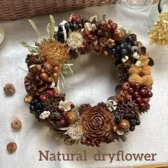 Item thumbnail for item 037aabae-4f3c-4a0b-93cb-818354555025