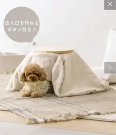 Item thumbnail for item 42a9bf38-23f7-4bf1-ab72-afadec52fa56