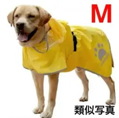 Item thumbnail for item a40a8974-ec13-4f48-9eb6-e6d1dbd2d082