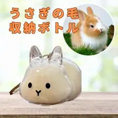 Item thumbnail for item a8d77e74-4ff1-4259-a529-e7ac12ce2420