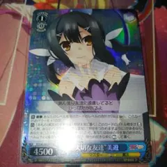 ws 大切な友達 美遊 RRR fate