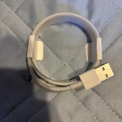 【未使用】Apple 純正 Lightning type C ケーブル ホワイト