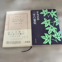 有島武郎 2冊セット