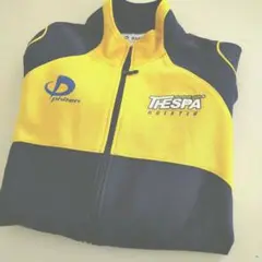 FINTA ザスパクサツ群馬U-15レディース　練習着・ウェア KELME ザスパクサツ群馬 2023 FP 3RD オーセンティックシャツ