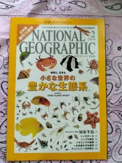 National Geographic 2010年2月　小さな世界の豊かな生態系