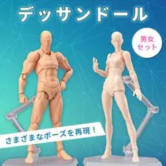 デッサンドール 男女set モデル 人形 フィギュア イラスト 漫画