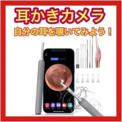 耳かき カメラ 耳掃除 イヤースコープ HDカメラ ビデオ保存 頭皮 ペットに